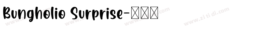 Bungholio Surprise字体转换